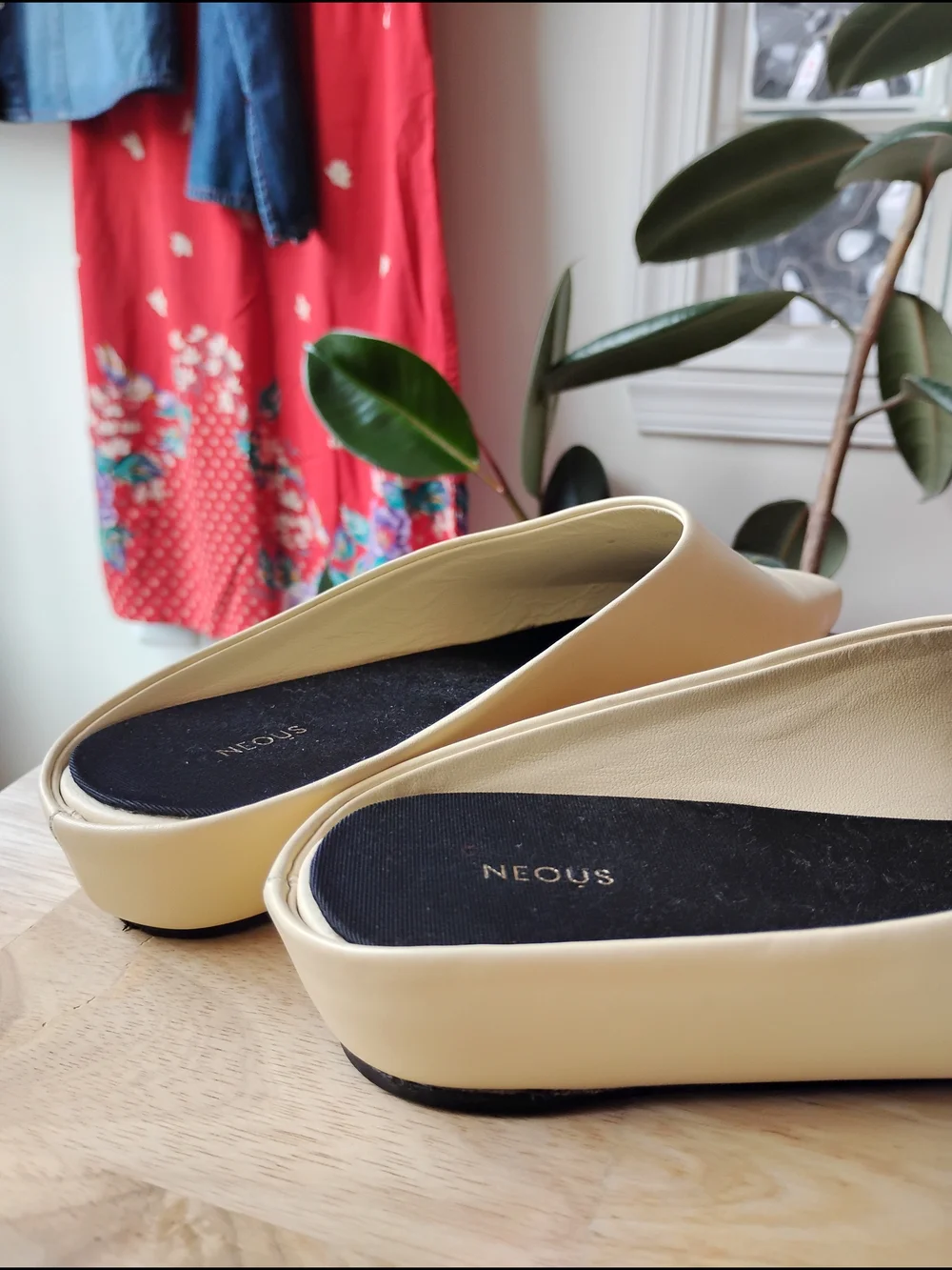 NEOUS Alba leather mules in 